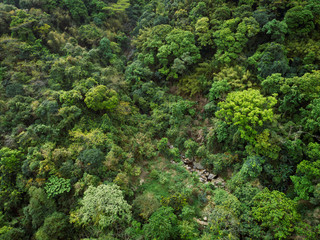 Aerial view of small creek in tropical forest