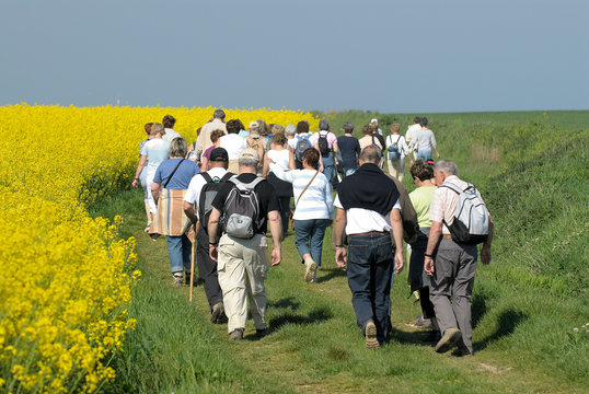 Randonneurs sur sentier le long des champs