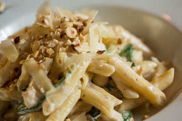 Penne with chicken, spinach and hazelnut in parmesan sauce