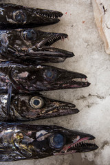 Espada fish on traditional fish market in Funchal at Madeira island, Portugal
