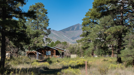 farm house and old cars, flagstaff
