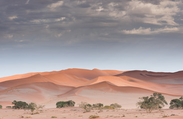 Fototapeta na wymiar Dunes in the Namibian desert
