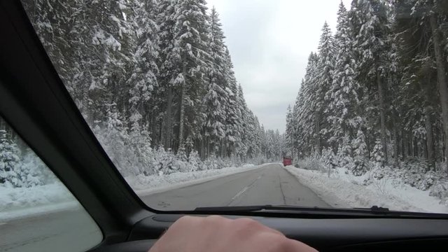 Point of view POV driving on straight countryside road between spruce forest trees with male hand on steering wheel. Winter landscape in Pokljuka plateau, Slovenia