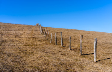 Fototapeta na wymiar Field with a fence of tree trunks