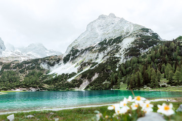 Mountain lake in Alps in summer with blooming flowers