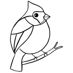 Hand drawn outline illustration of a bird
