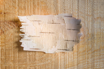 A small piece of birch bark for your text. Beige wood cut for the inscription. Background of rough wooden Board. Copy space.