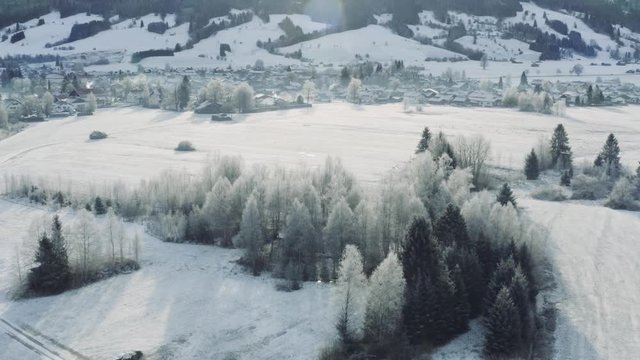 Aerial view of the small cozy german town at the mountain bottom at sunrise in a winter season, Halblech city, Germany, Bavaria, Branches of trees are covered with hoarfrost, sunny weather