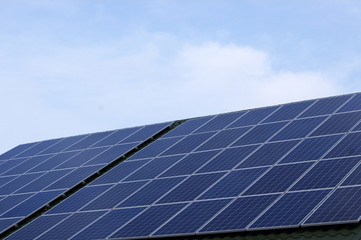 Solar panel on a green roof.