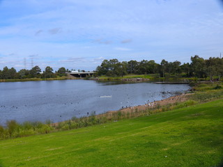 Fototapeta na wymiar Park with a big lake in melbourne Australia