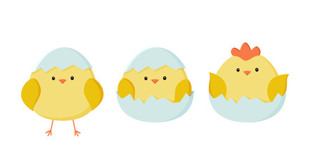 Chicken icon set. A sweet yellow Easter chickens is sitting waiting for Easter. Vector illustration in simple flat style