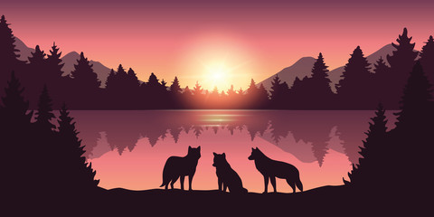 wolf pack at beautiful purple forest and lake nature landscape at sunrise vector illustration EPS10