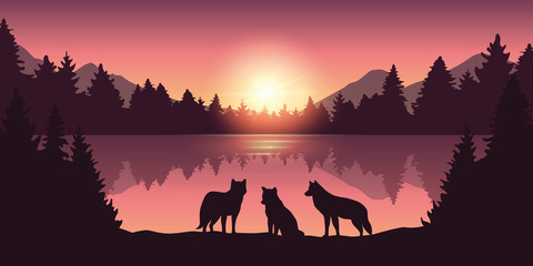 wolf pack at beautiful purple forest and lake nature landscape at sunrise vector illustration EPS10 © krissikunterbunt
