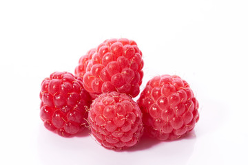 Four red juicy raspberries on a white background