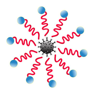 Soap molecule kills corona. Mechanism to remove dirt on the skin with a surfactant. Stearic acid (soap) molecule space-fill model.