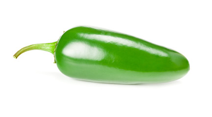 Jalapeno chile pepper isolated on white background Capsicum annuum fruits