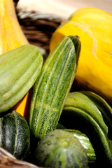 Close-up of Santorini cucumber.