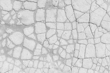 crack on the ground white background / abstract white vintage background broken texture