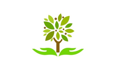 safe the tree environment vector