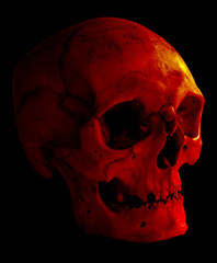 A red human skull in dramatic lighting. Isolated on black.