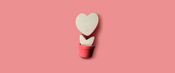 flower pot of heart in love concept. valentine's day concept