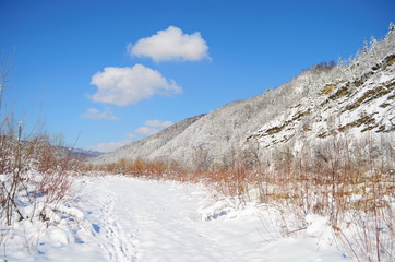 forest wild river landscape with snow at spring