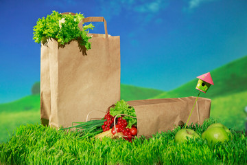 eco-friendly paper bags with products on the background of nature