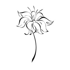 blooming flower 19. one stylized blooming flower on a short stalk without leaves in black lines on a white background