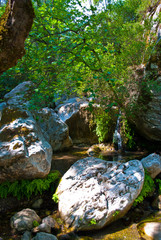 Mountain creek with a rocky bottom, Turkey.