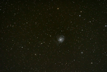 Fototapeta premium Pinwheel galaxy in the night sky