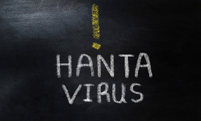 Obraz premium handwriting alert hantavirus on chalkboard 