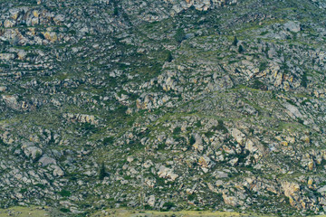 Background image of a mountain landscape. Russia, Siberia, Altai
