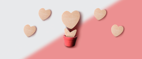 flower pot of heart in love concept. valentine's day concept