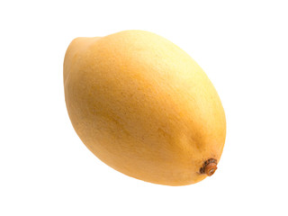 Graphic resources: isolated object fruit of a plant of the genus Mango of the Anacardia family