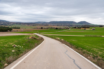 Fototapeta na wymiar Empty country road through fields on a cloudy spring day