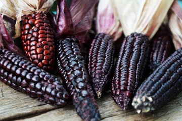 Organic sweet purple corn.