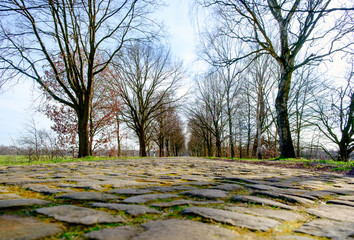 Road paved with paving stones. Old cobblestone way in perspective without cars.