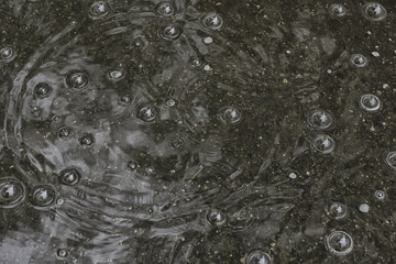 background puddle rain / circles and drops in a puddle, texture with bubbles in the water, autumn rain
