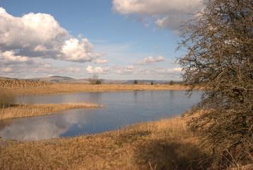 lake & countryside view near Selkirk