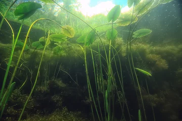 Poster onderwaterberg heldere rivier / onderwaterfoto in een zoetwaterrivier, snelle stroming, luchtbellen door water, onderwaterecosysteemlandschap © kichigin19