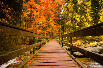 Autumn shot of a beautiful bridge over a Mumlava River in the colorfull forest.