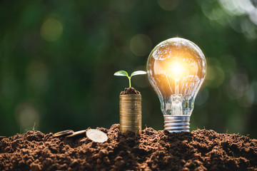 Light bulb with coins beside and young plant on top concept put on the soil in soft green nature...