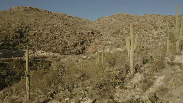 Mt Lemmon; Alpine; aerial; drone; flying; snow; forest; mountains; high; elevation; geology; Arizona; Tucson; cold; view; landscape; scenery; 
