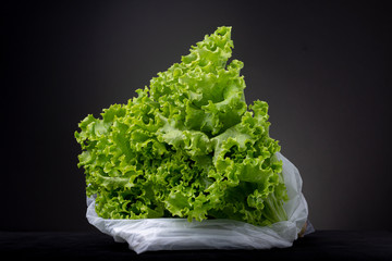 Still life of unmarked white plastic bag with vibrant green lettuce cabbage against a dark background