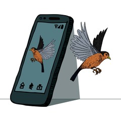 bird on phone