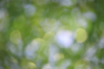 Bokeh green nature, Subtle background in abstract style for graphic design