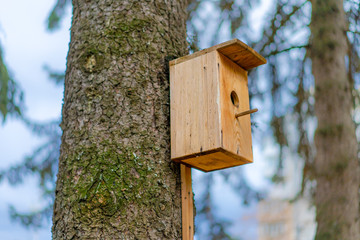 Birdhouse for birds mounted on a tree