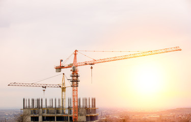 Construction cranes work