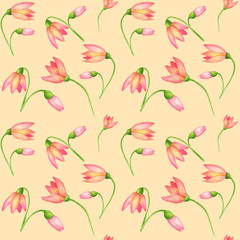 Seamless watercolor pattern with yellow and pink crocuses flowers on peach color background. Vintage style. Great floral pattern for wrapping paper, fabrics, invitations.