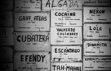 in Black and white, wall with names of horses and races that can be an useful graphic resource